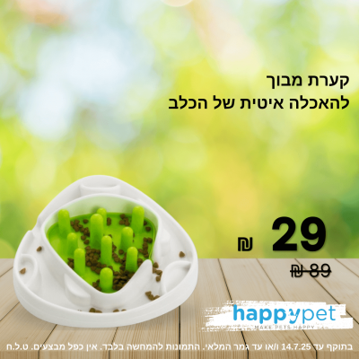 קערה להאכלה איטית -מבוך/דשא