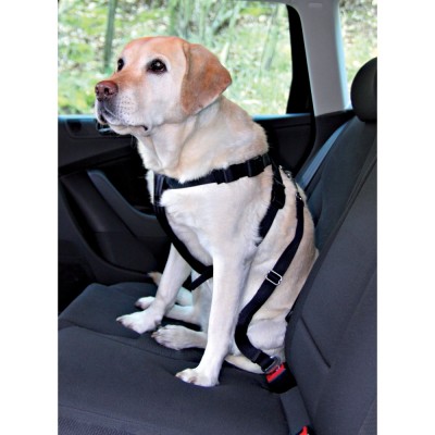 ערכה לנסיעה בטוחה ונקיה עם הכלב - רתמה+חגורת בטיחות+ כיסוי למושב האחורי ברכב 