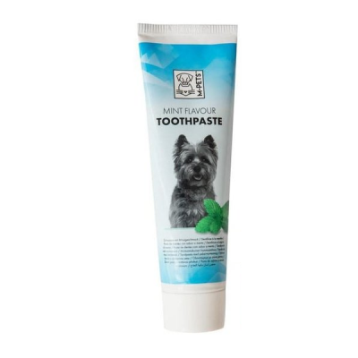 M PETS - משחת שיניים לכלבים בטעם מנטה אמ פטס - 100 גרם